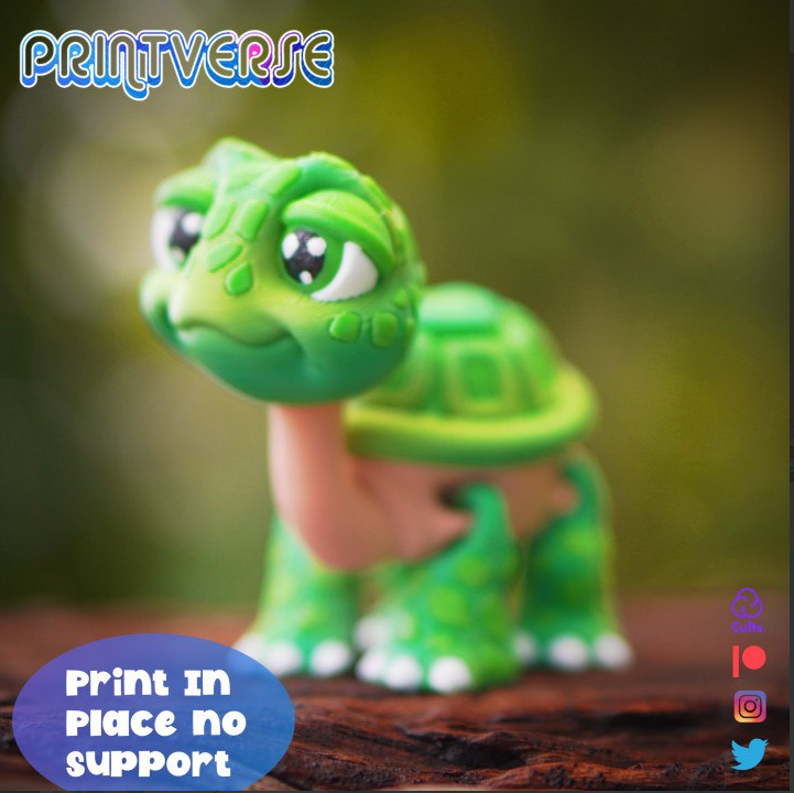 Tartaruga Articulada V2