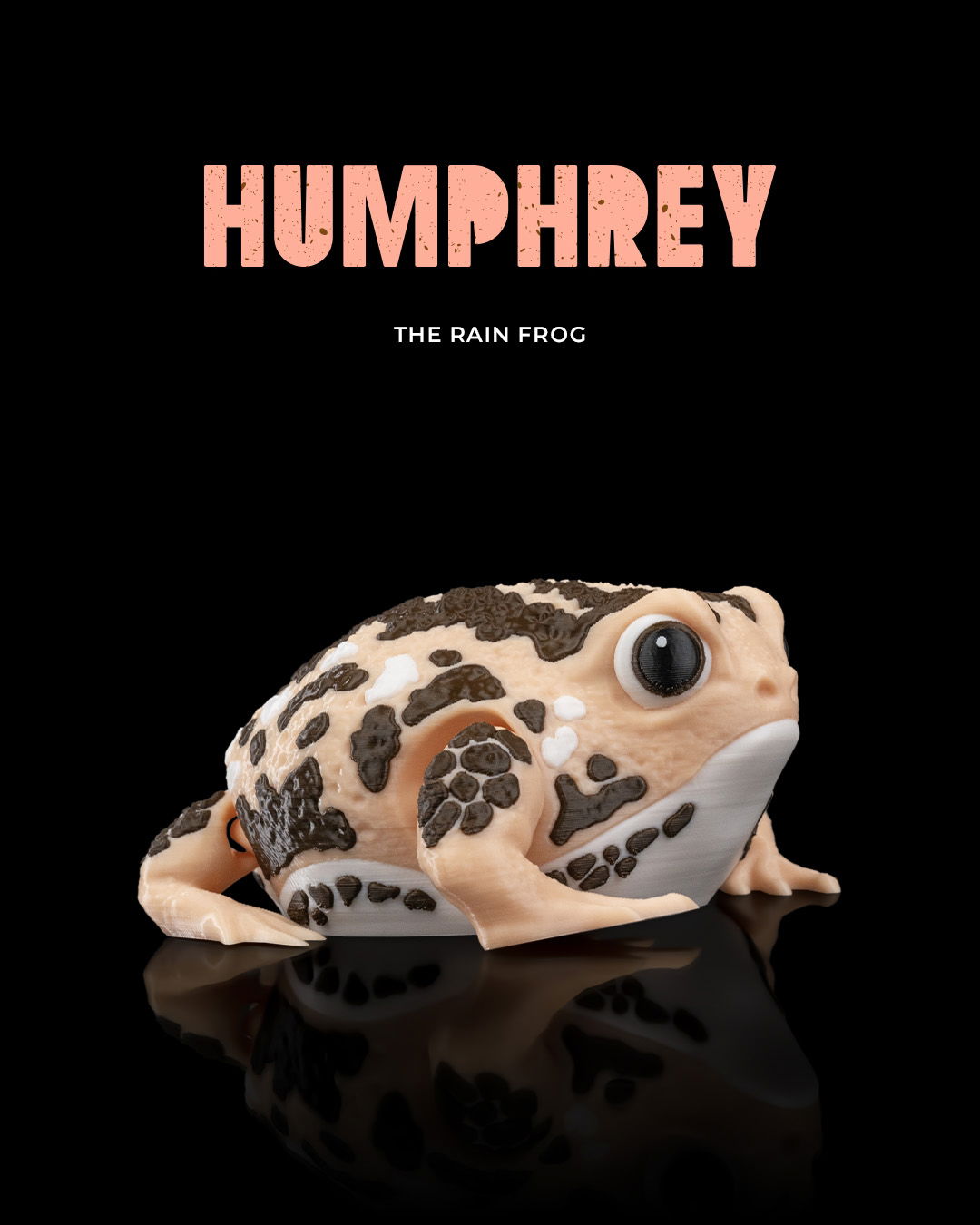 Sapo-da-chuva Articulado