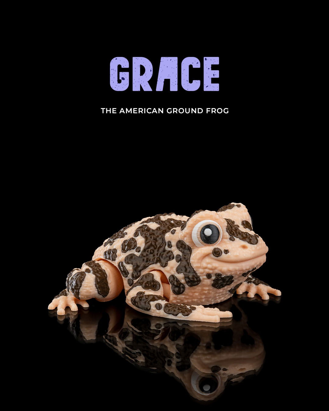 Sapo-terrestre-americano Articulado
