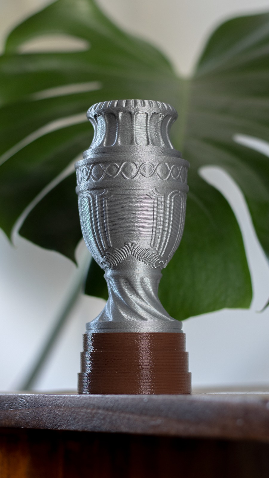Copa America