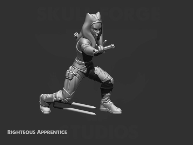 Righteous Apprentice by skullforge