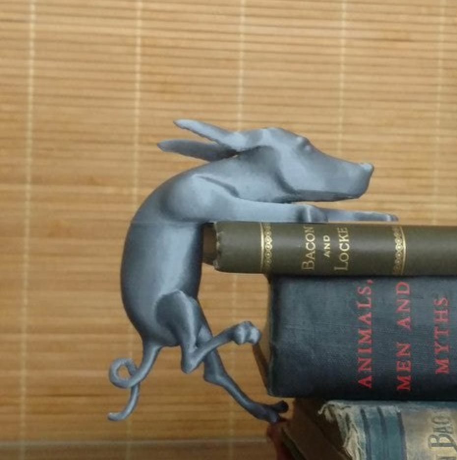 Dog on the book