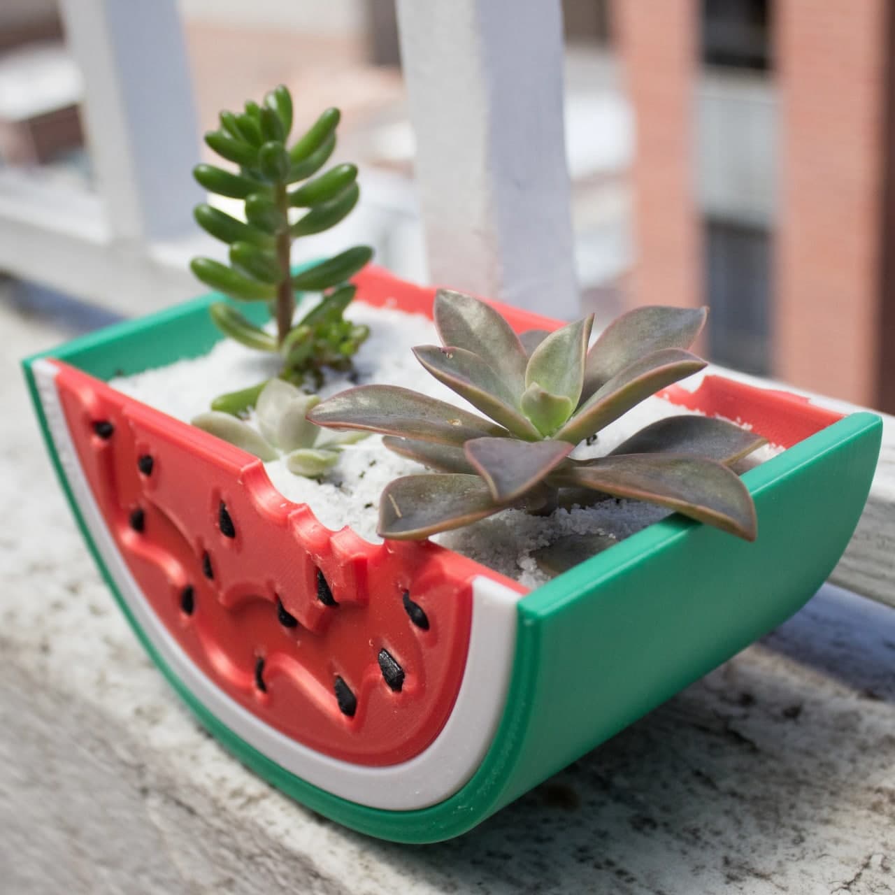 Watermelon vase