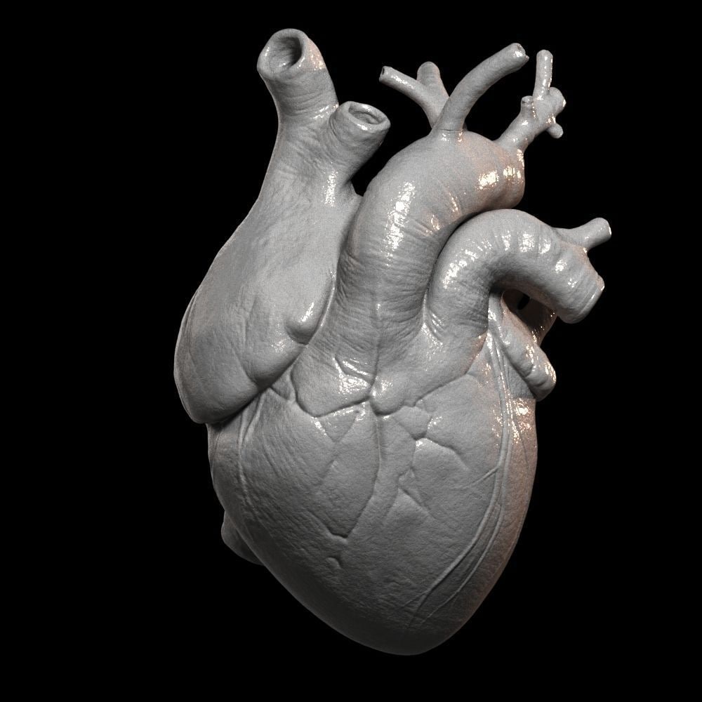 Heart