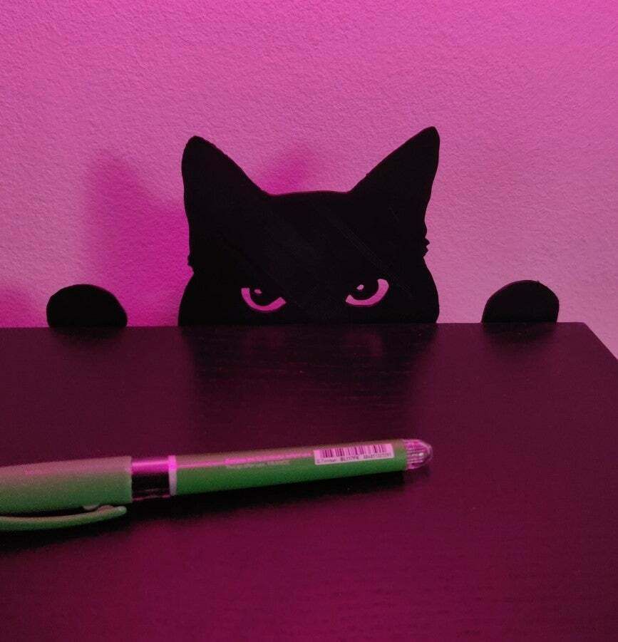 Cat guard