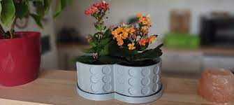Dual vase