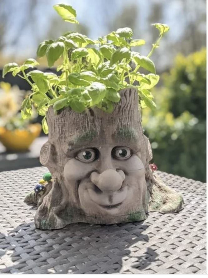 Tree Face vase