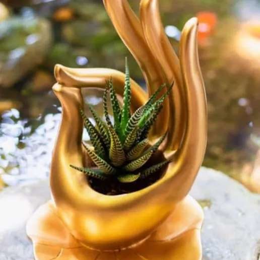 Buddha hand pot