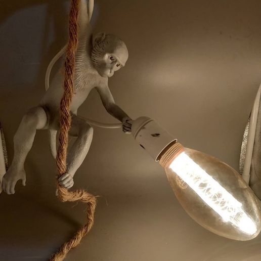 Monkey lamp