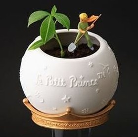 Little Prince vase