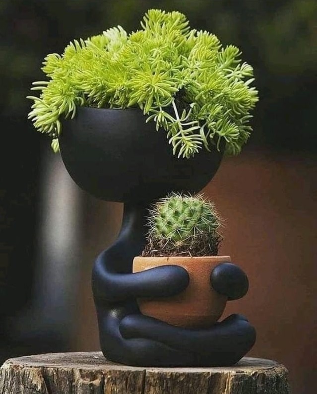 Vase cacto