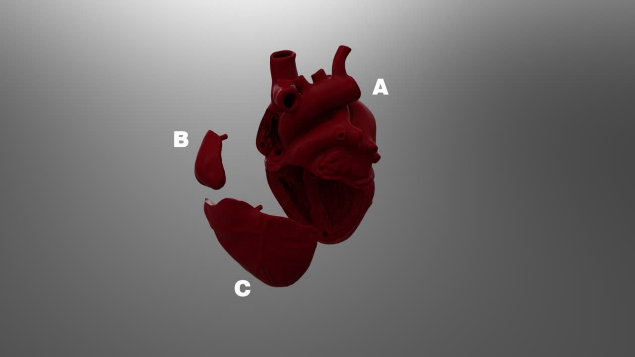 Heart v2