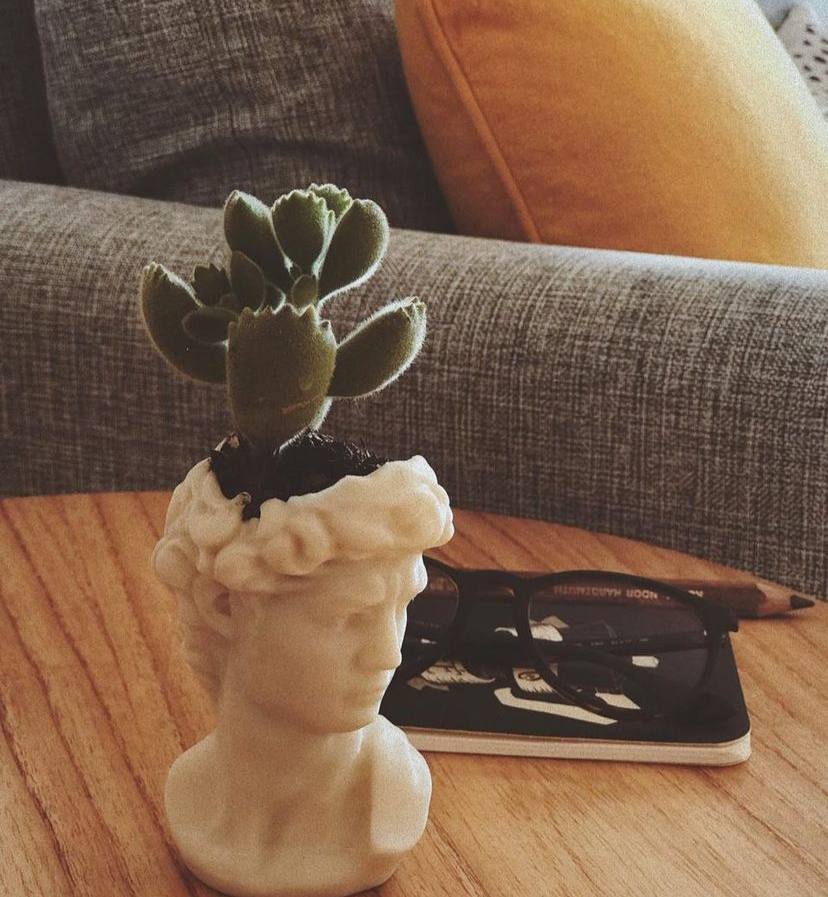 David vase