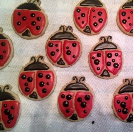 Ladybug cookie cutter