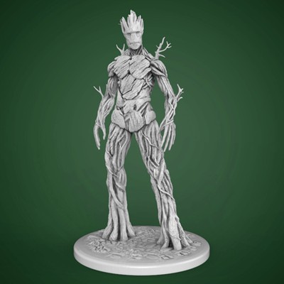Groot Adulto