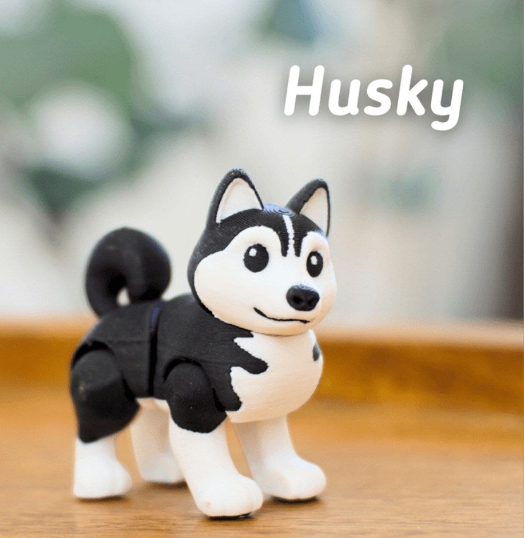 HUSKY DOG