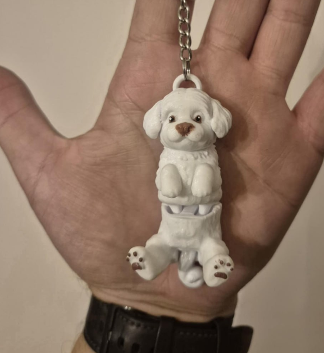 MALTEESE PAINTED O3DLAB