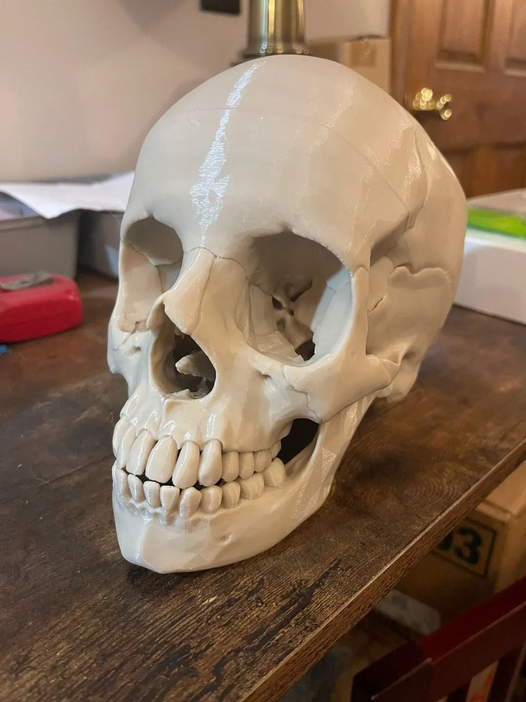 Quebra Cabeca Cranio Anatomico