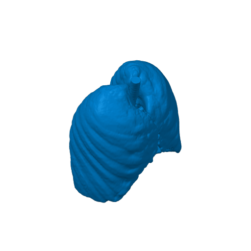 Pulmoes