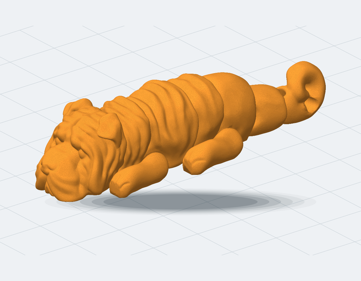 Filhote de Shar Pei