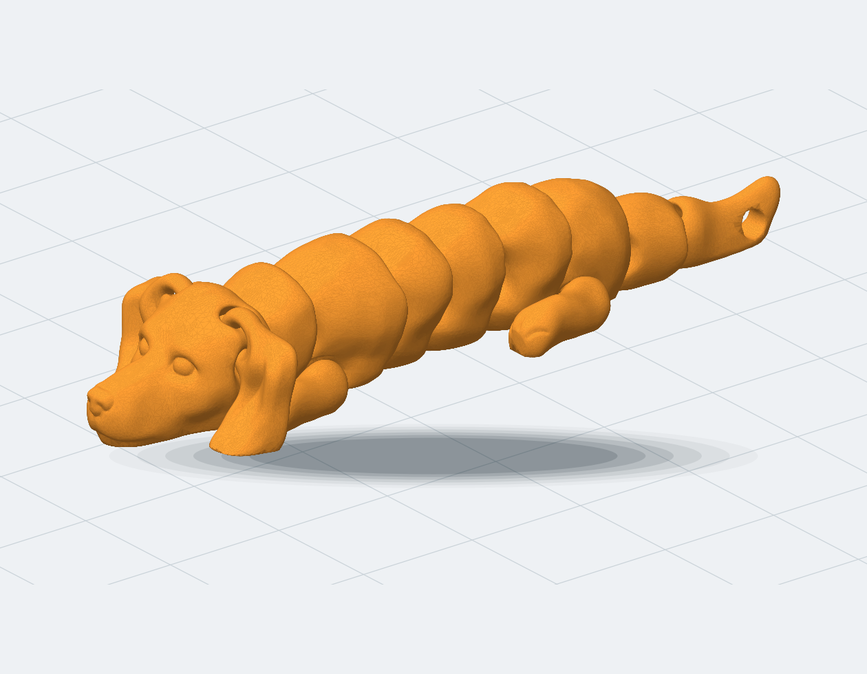 Filhote de Dachshund