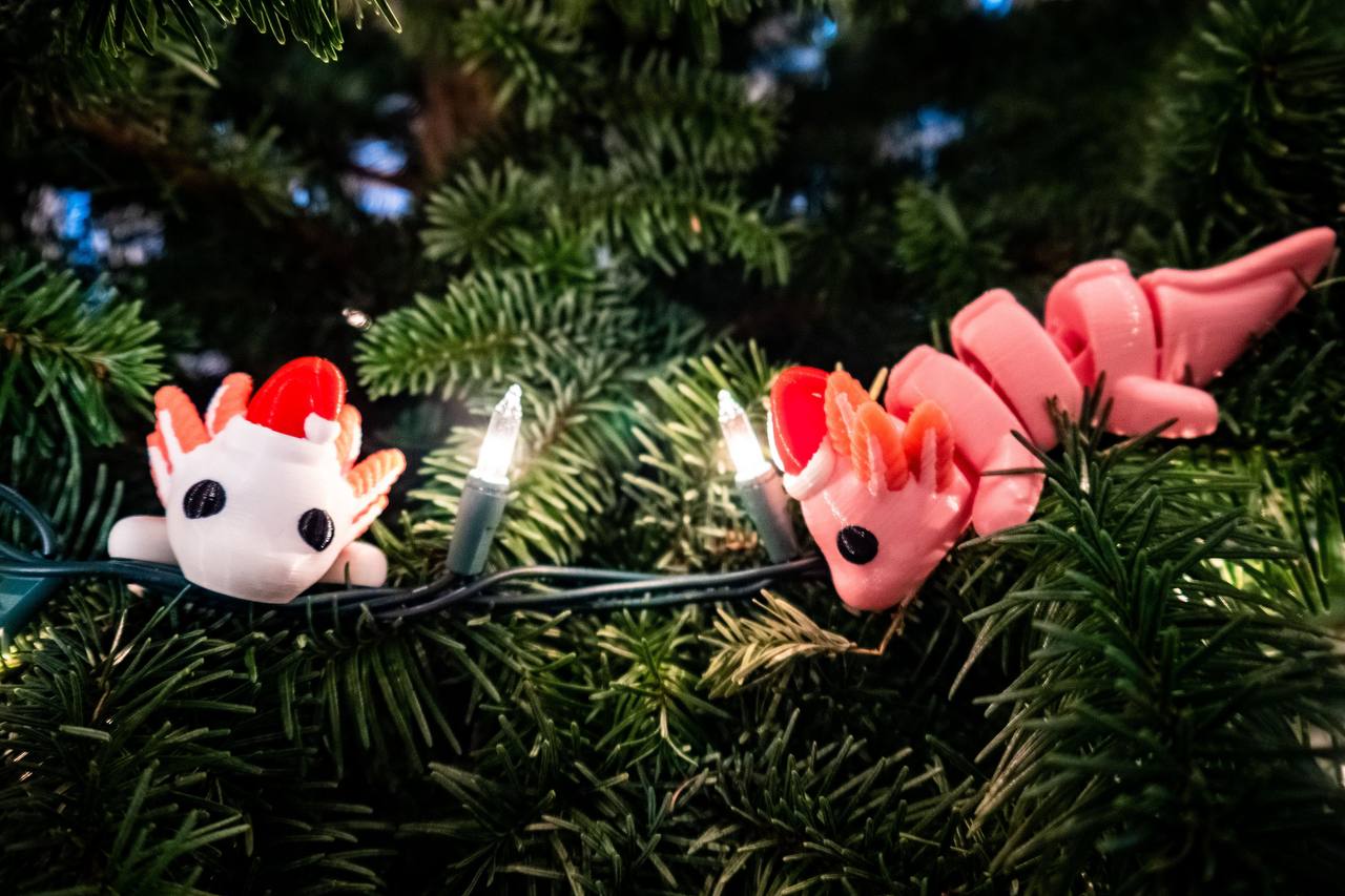 Axolote Bebê de Natal