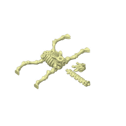 Girafa Esqueleto Articulada