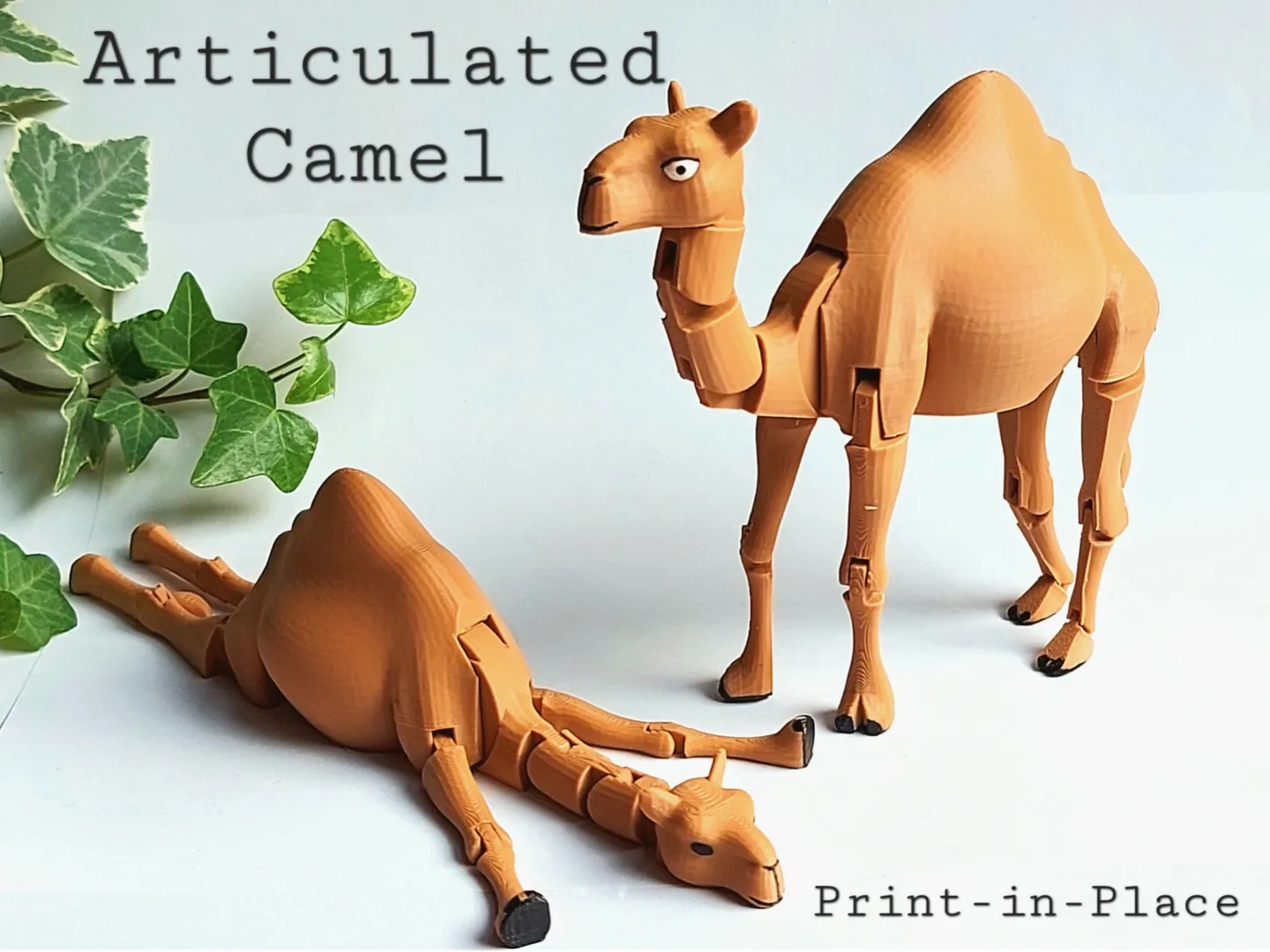 Camelo Articulado