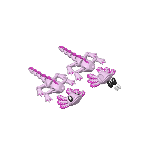 BlobLabAxolotl