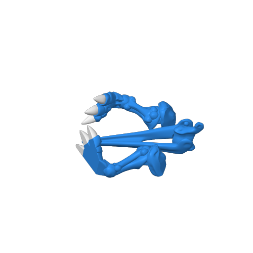Cut For XL Pteranodon @Print3DWorld