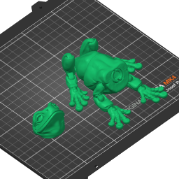 MMM_WhitesTreeFrog_v01